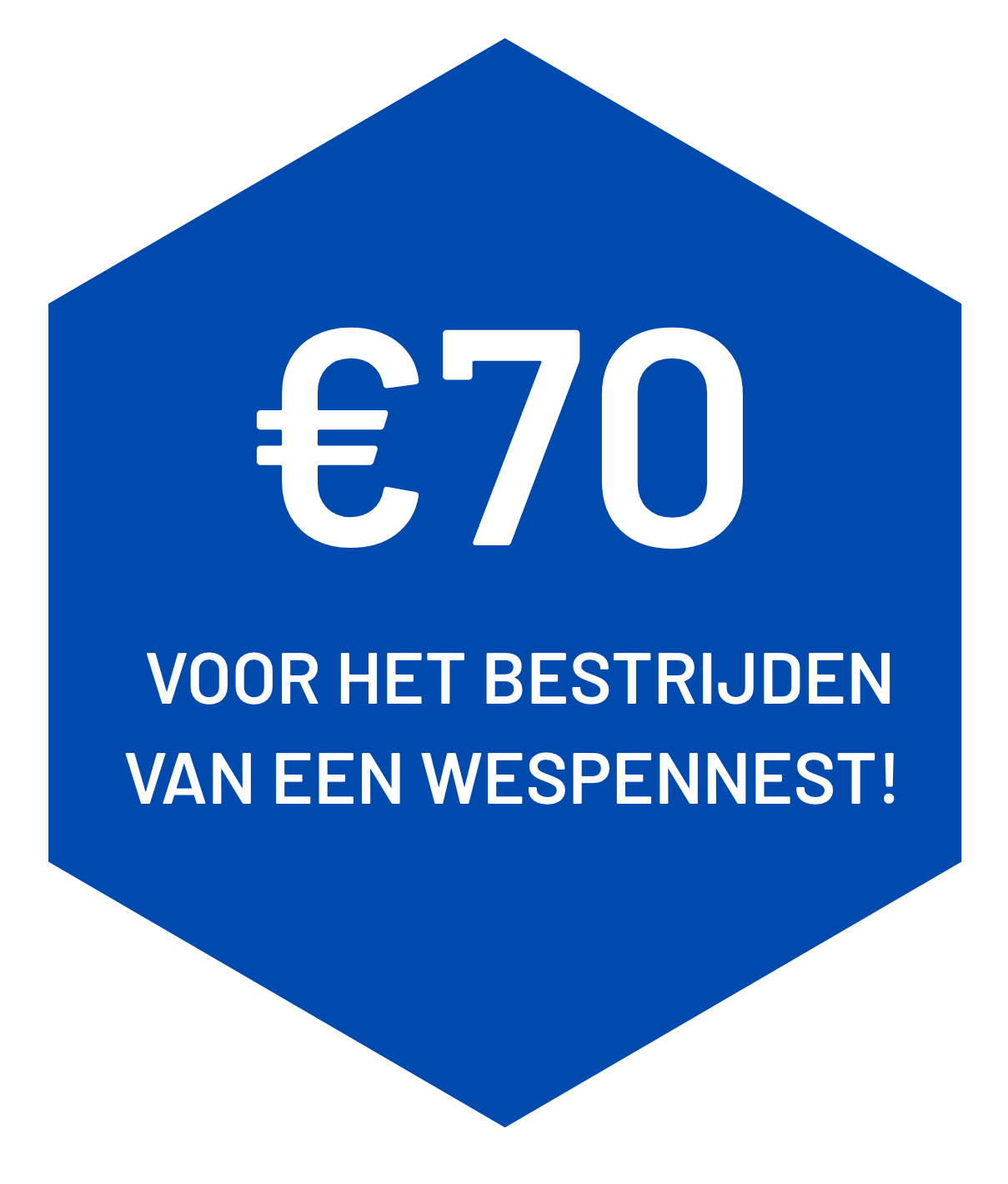 Wespennest Verwijderen Maastricht | Veenstra Ongediertebestrijding