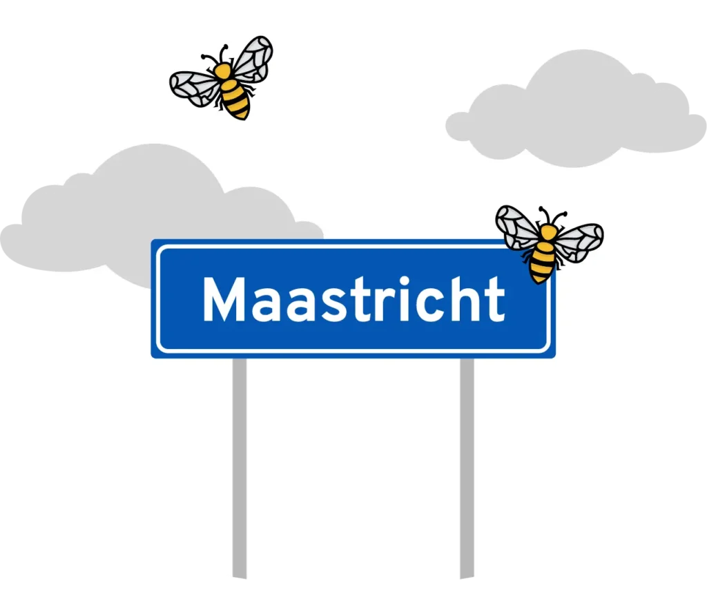 Wespennest verwijderen Maastricht